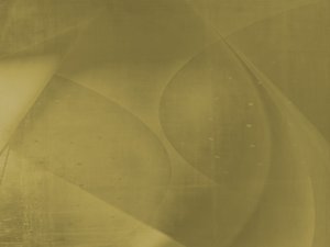 綏中縣禽蛋有限責任公司